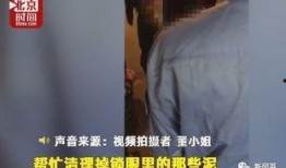 四哥爆料学生打人视频,四哥曝光学生暴力打人视频引发关注