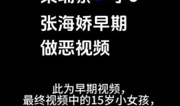 爆料柬埔寨小六视频网站,揭秘网络背后的秘密与争议